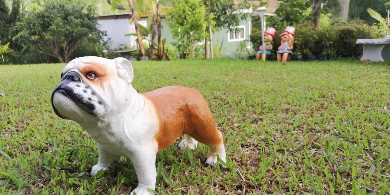 บ้านปลายฝัน Baanplaifun Ban Huai Phai Экстерьер фото